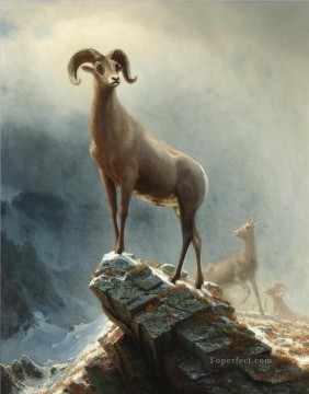 Oveja Big Horn de las Montañas Rocosas American Albert Bierstadt Pinturas al óleo